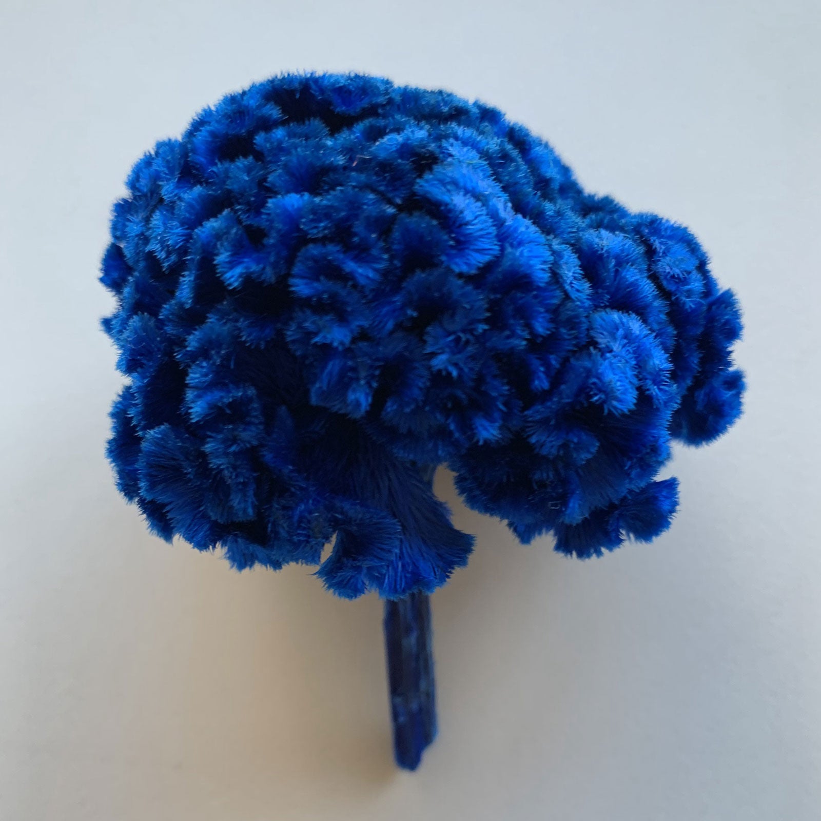 princessblue.jpg?v=1669428268