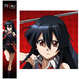 BD&DVD&CD|TVアニメ『アカメが斬る！』公式サイト