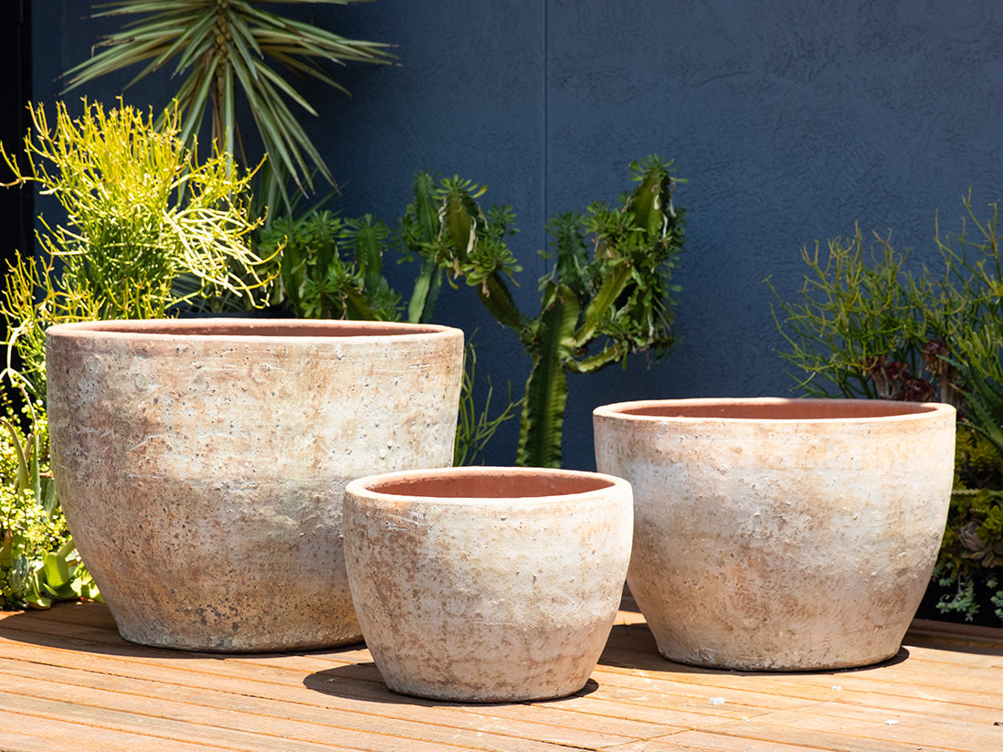 XLG Rimless Parco Planter - Set of 3 – JACKALOPE POTTERY