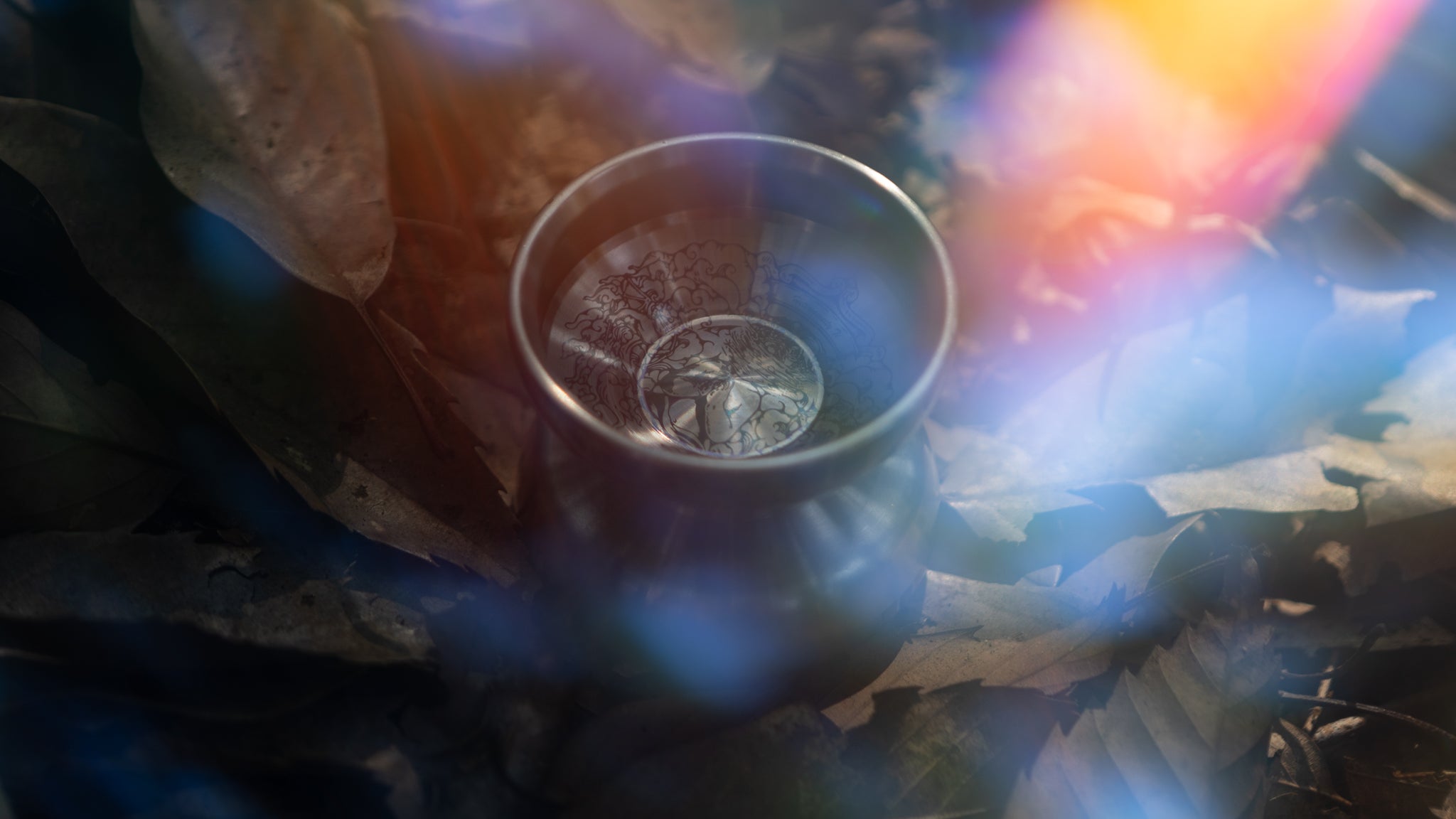 New Release】Jan 7th 2023 – mowl