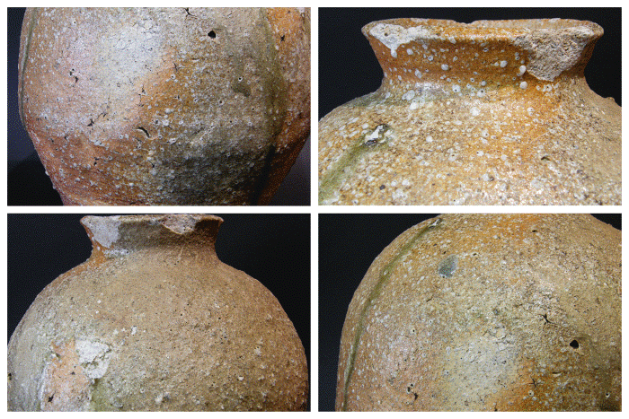 冨江洗心堂 - 古信楽大壺 | 古美術品専門サイト fufufufu.com