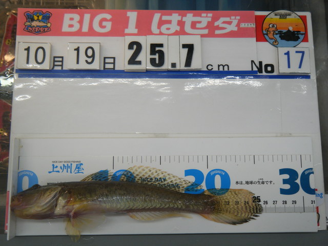 つり具の上州屋 - あなたのフィッシング＆アウトドアライフをサポート