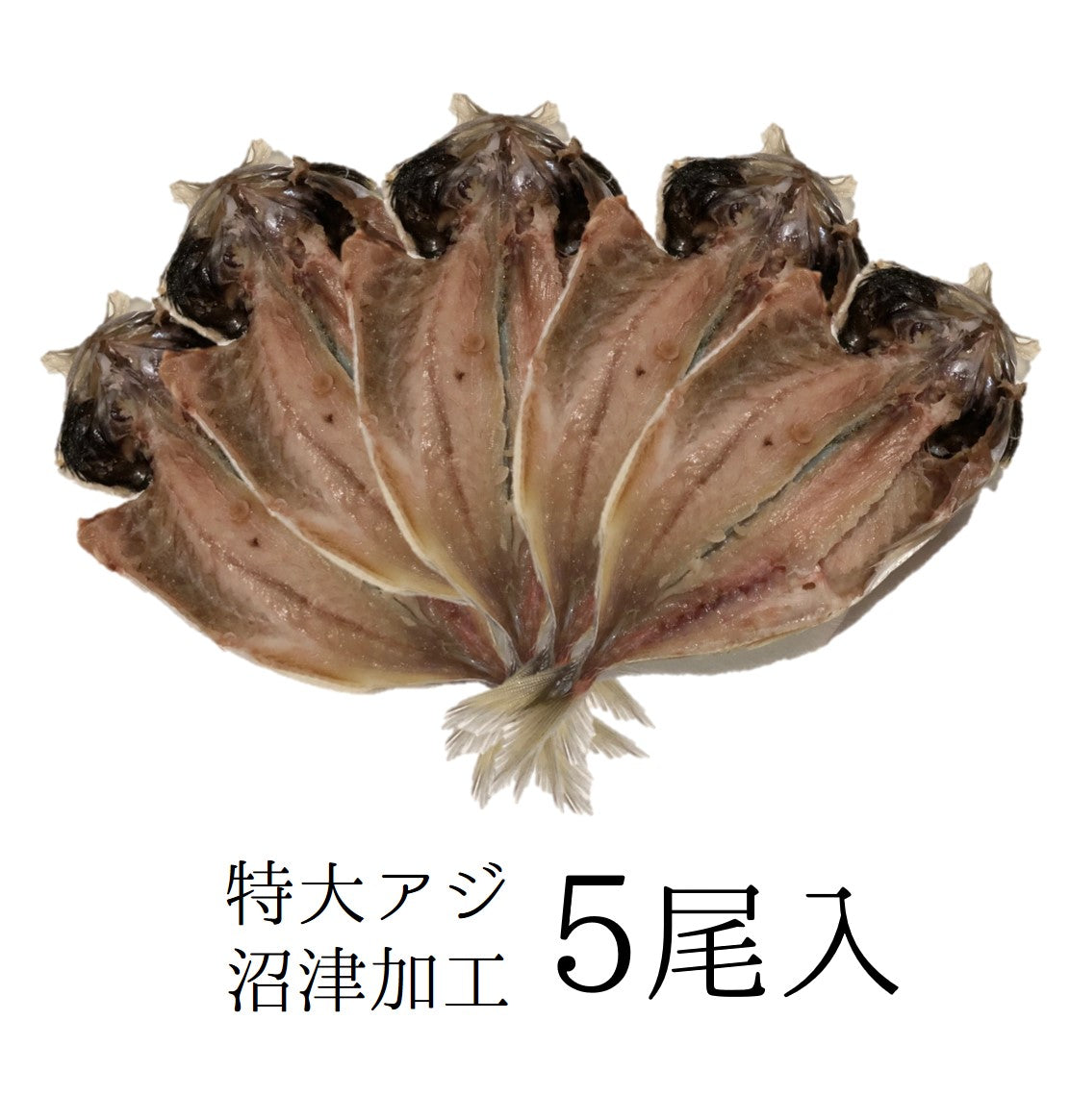 大アジ干物 沼津加工 5尾入 約1キロ分（1尾約200g）【特大鯵干物5尾