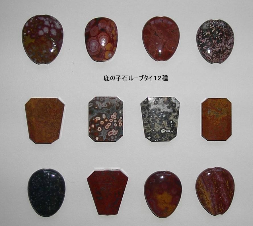 にしき石の種類