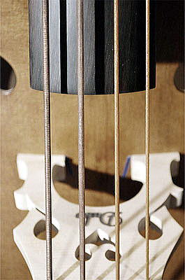 ガットアライク デラックス Gut-a-Like Deluxe弦の通信販売