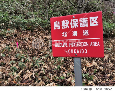 鳥獣保護区看板・北海道の写真素材 [84014652] - PIXTA