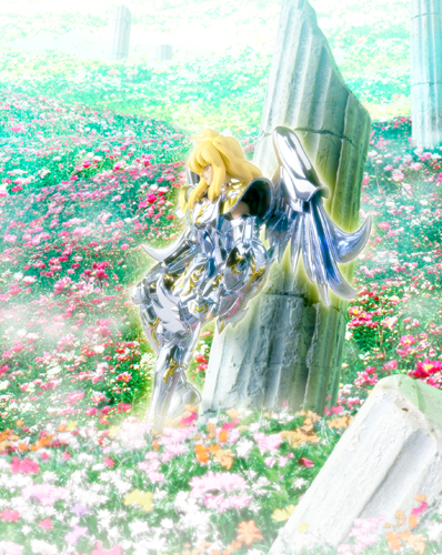 聖闘士聖衣神話 キグナス氷河 神聖衣 | 魂ウェブ