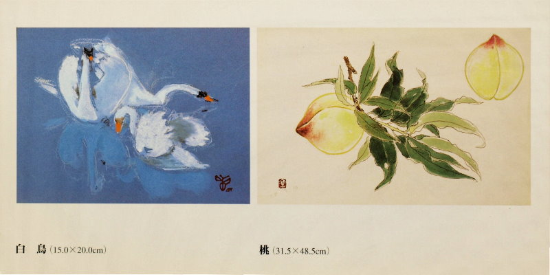 杉山寧 素描展/TORGALLERY