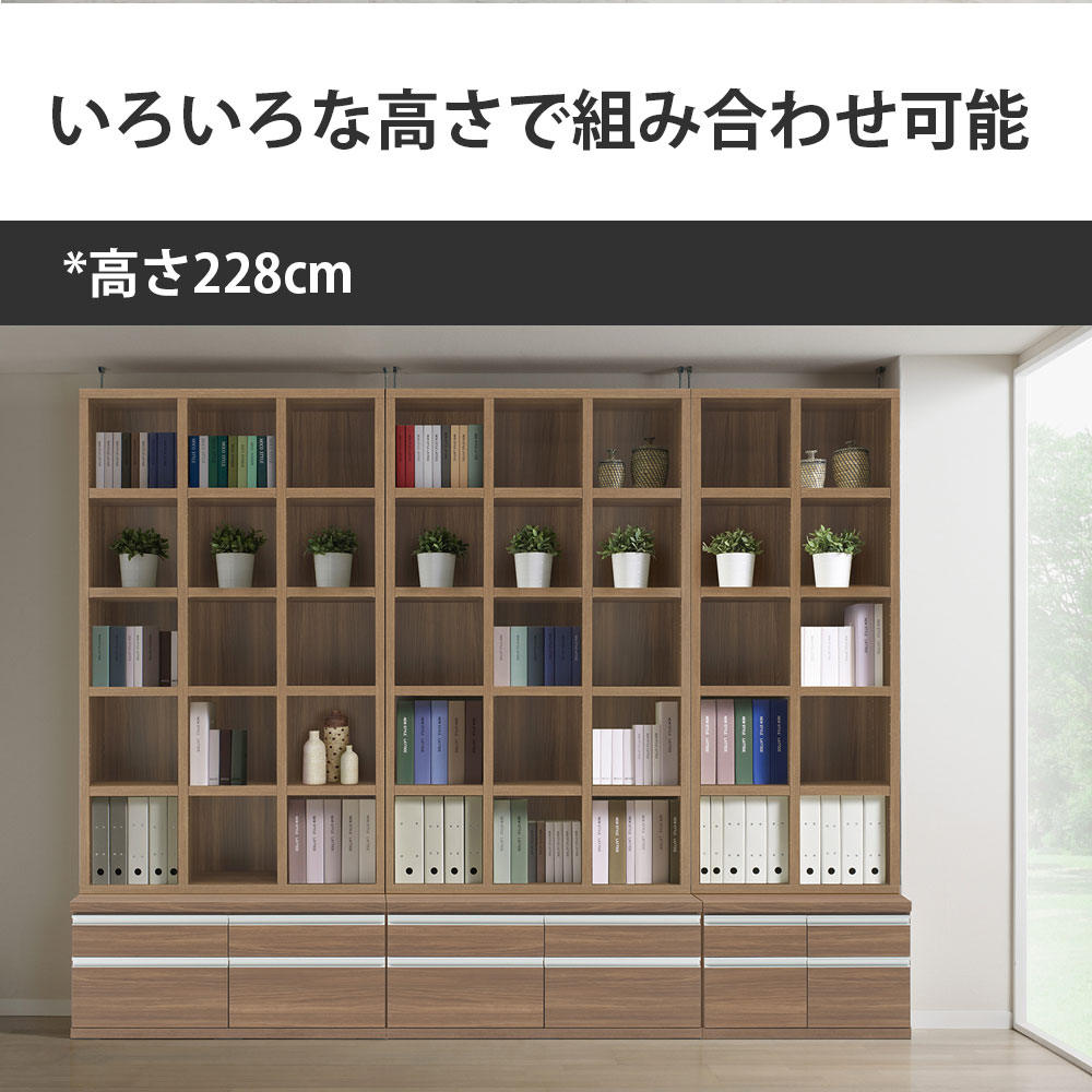 楽天市場】本棚 大容量 ハイタイプ 完成品 二段式 収納 段違い 日本製