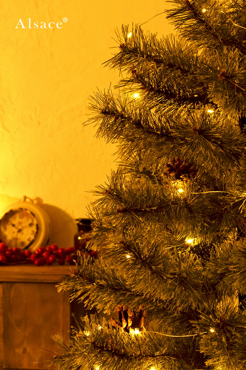 楽天市場】【公式 Alsace(R) 正規品】 LED ジュエリーライト 100球 10m