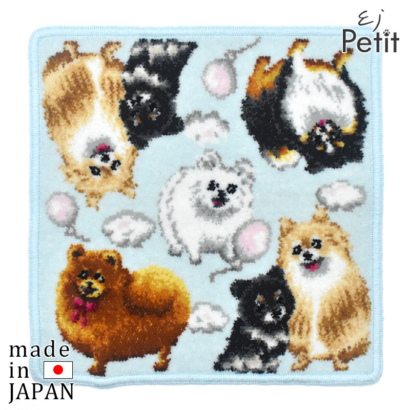 楽天市場】ポメラニアン ミックス ポメプー ポメチワ ブラックタン