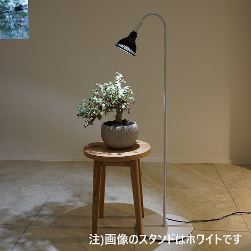 楽天市場】barrel フレキシブルアームライトスタンドの通販