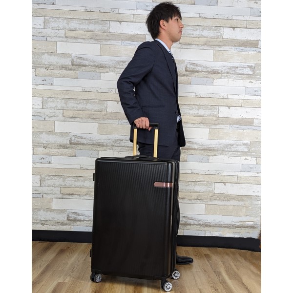 楽天市場】【各種利用でポイント最大27倍！ 】 JAL ジャル 鶴丸ロゴ