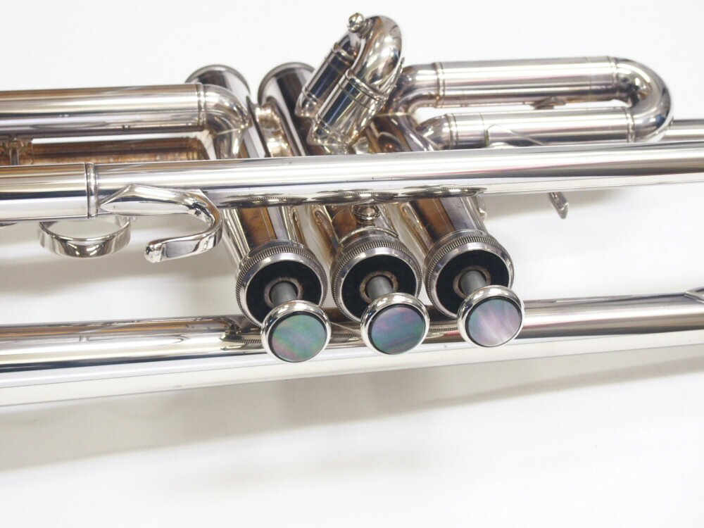 楽天市場】【当店オリジナル！】G.T.works トランペット黒蝶貝ピストン