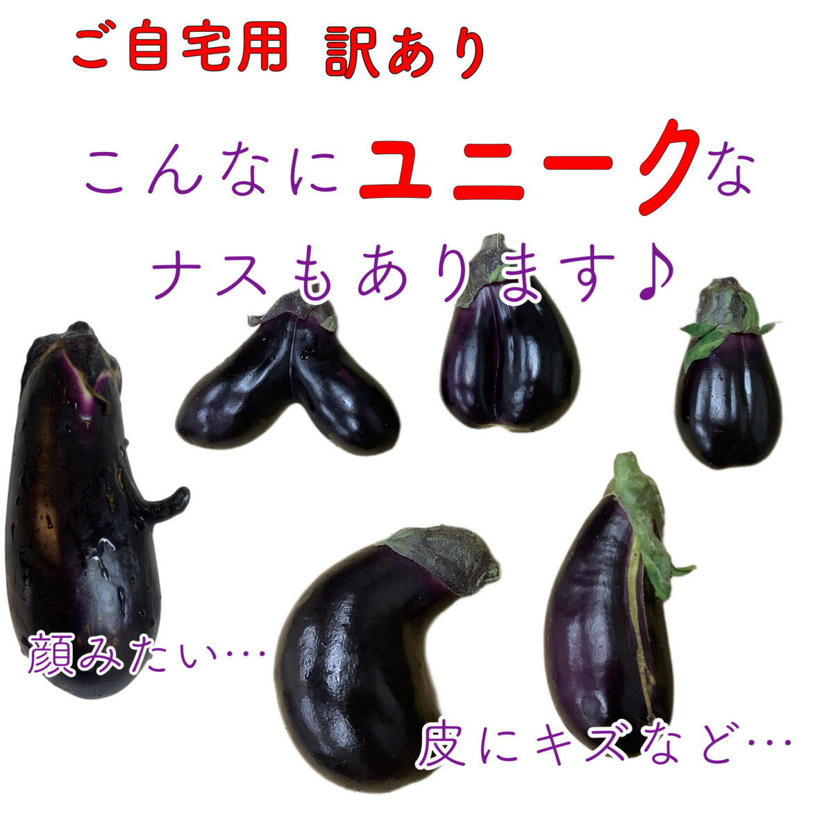 楽天市場】高知県産 なす 茄子 なすび ナス 訳あり 500g 国産 わけあり