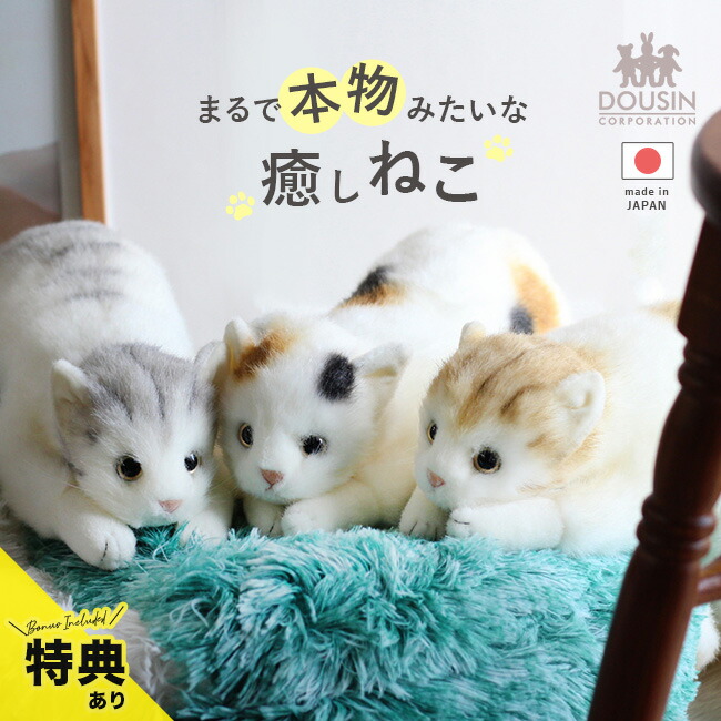 楽天市場】【特典あり】【ギフト対応無料】リアル 猫のぬいぐるみ 58cm