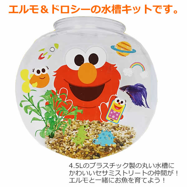 楽天市場】【送料無料】セサミストリート エルモ 水槽キット 4.5L