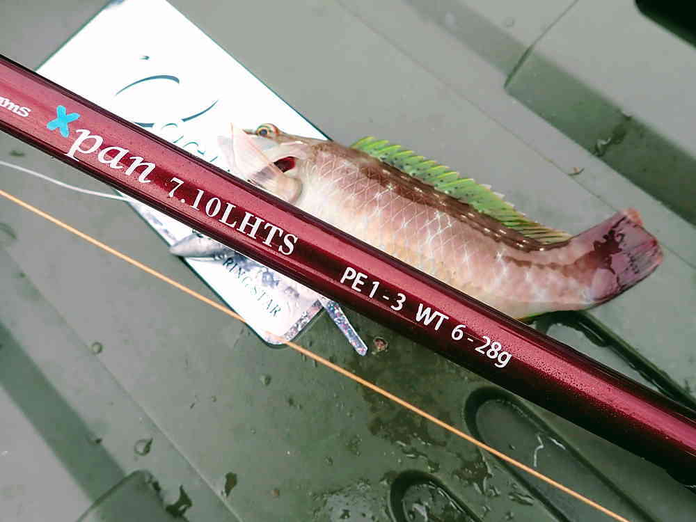 Fishman Beams Xpan7.10LHTS インプレ | TSURERO