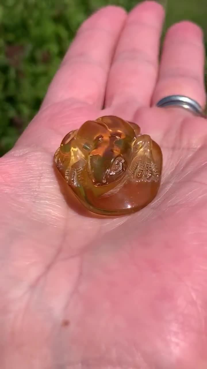 天然の透明な琥珀のカエルの置物、手彫り、研磨された化石化した木の