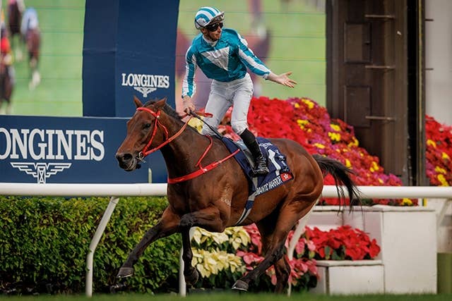 ロマンチックウォリアー、ドバイターフ後に休養へ「ハード過ぎる