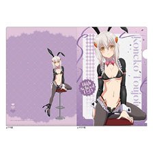 ドルフィンウェーブ 抱き枕カバー ヴィーナ (キャラクターグッズ