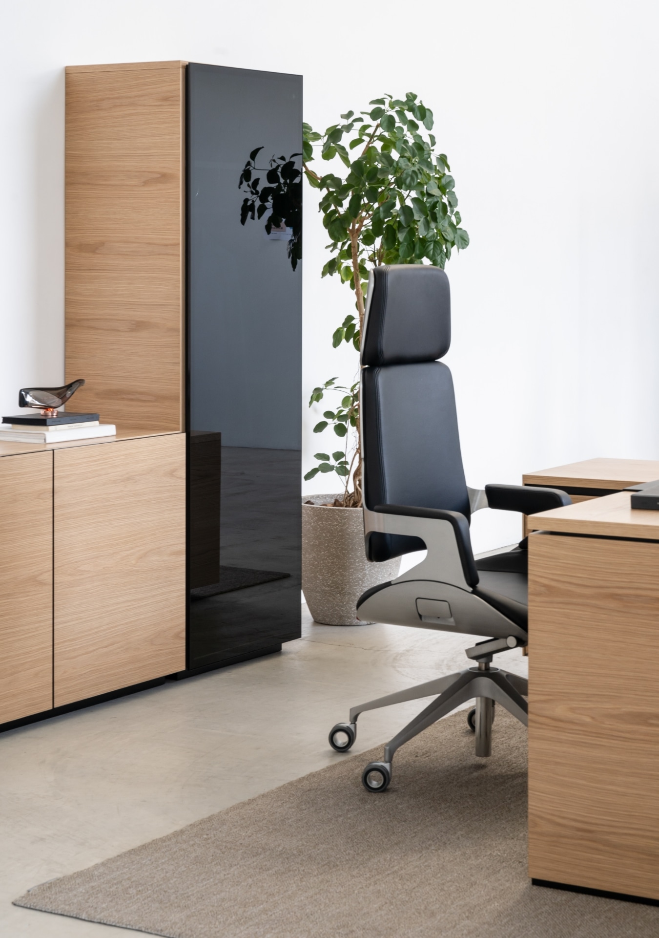 BROAD cabinet(ブロード ワードローブ付キャビネット） IXC