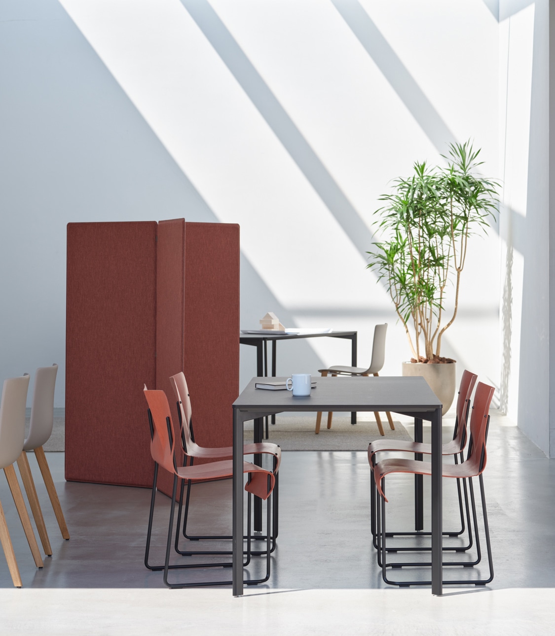 OLIO(オリオチェア） IXC | カッシーナ・イクスシー