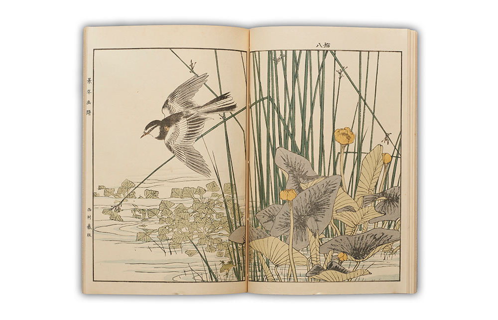 景年花鳥画譜』を求めた時代 - 千總 (日本語)