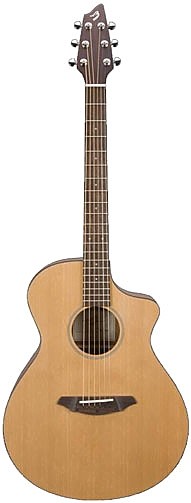 Breedlove Passport C25 FS Review | Chorder.com