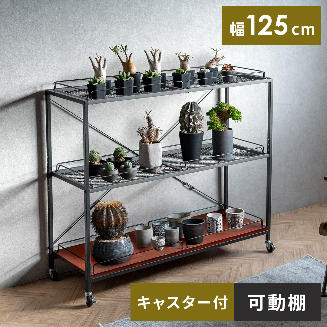 ヴィンテージ調ボタニカルラック BILLS(ビルズ)125cm幅 | 家具