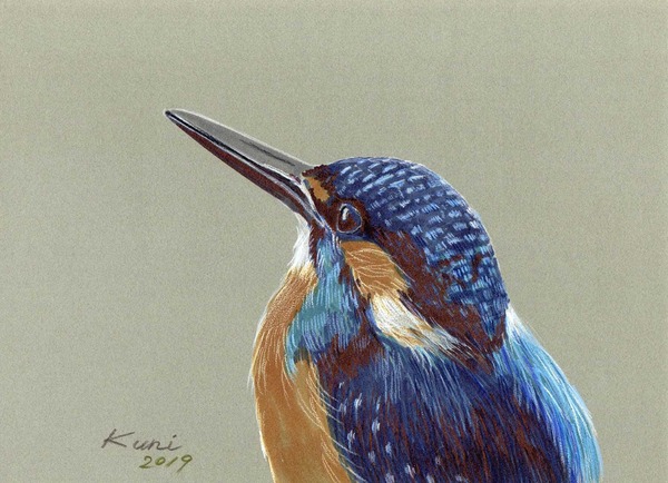 カワセミ」 by kuni｜Artmeter｜暮らしを彩るアートが、きっと見つかる
