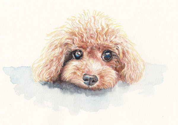 トイプードル」 by Mii & Zuu｜Artmeter｜暮らしを彩るアートが