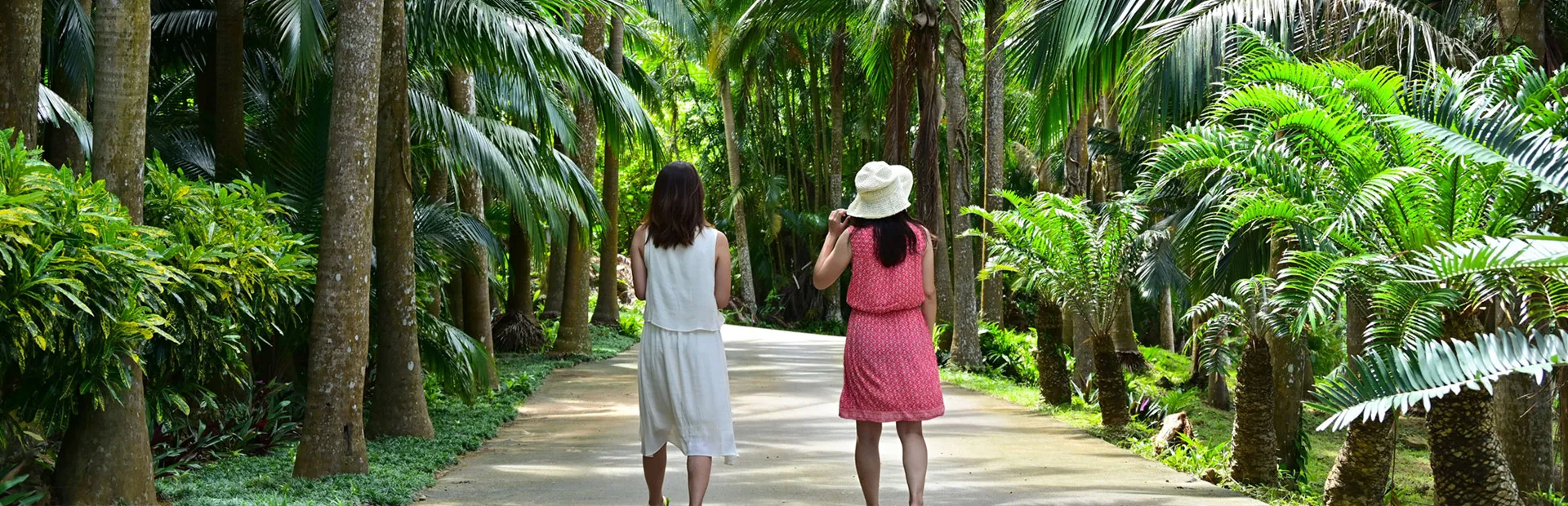 竹富島｜水牛車コース ｜オプショナルツアー｜アートホテル石垣島