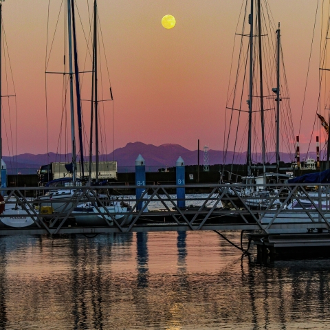 特集 2024年1月26日 ウルフムーン - 天体写真ギャラリー