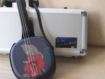 三線 販売｜沖縄の三線専門店【ASOVIVA】