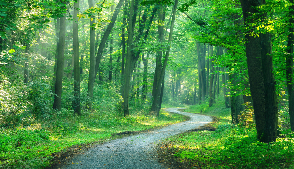 アザレ化粧品【公式サイト】-AZARE PRODUCTS-｜美しさの原点を求める