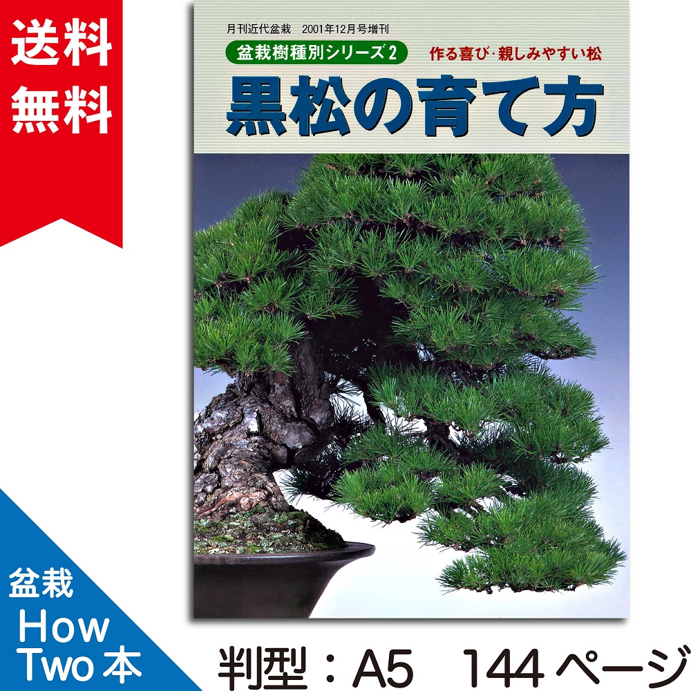 黒松の育て方 | 盆栽、盆栽書籍、盆栽鉢の通販│近代出版