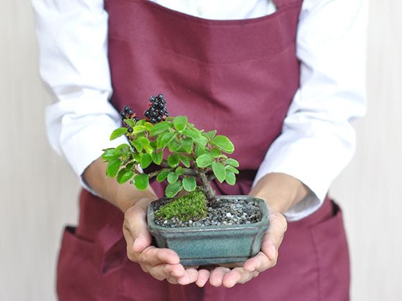 1137_6.jpg?v=1700490064&width=1946