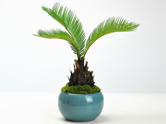 3280_1.jpg?v=1700711167&width=1946