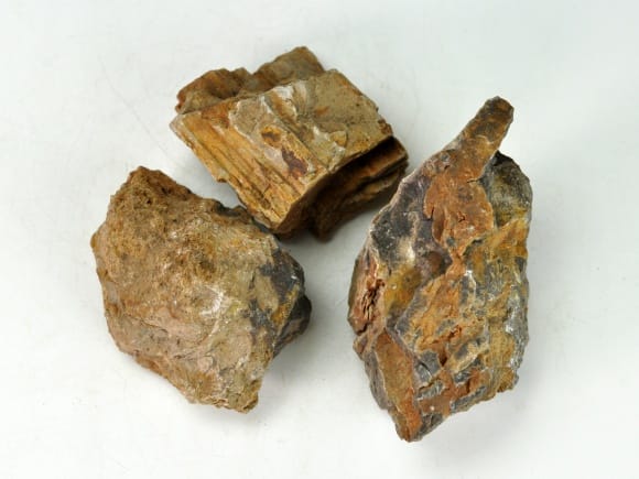 木化石(もくかせき) を販売｜盆栽妙 – 盆栽妙 本店