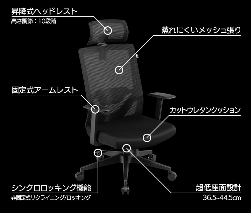 オフィスチェア ベーシック Class2 F-21 | Bauhütte®