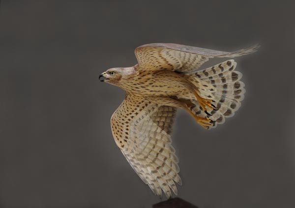 10大賞 1位、2位、3位、佳作