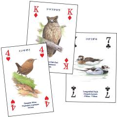 日本野鳥の会 バードショップオンライン Wild Bird ゲーム・ホビー