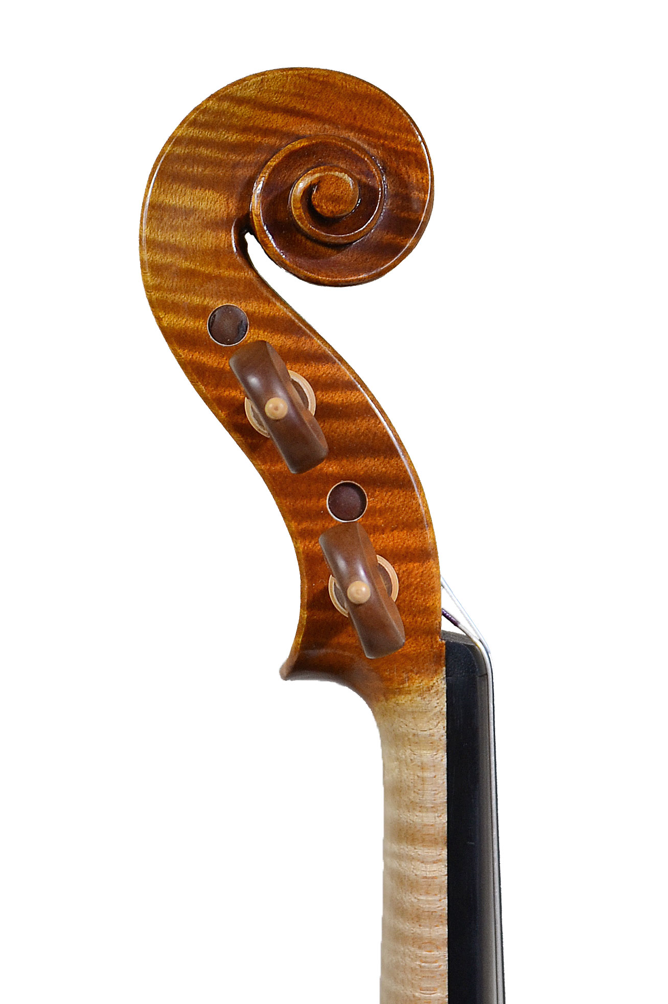 ピグマリウス スタンダード / Pygmalius STANDARD｜バイオリン専門店の