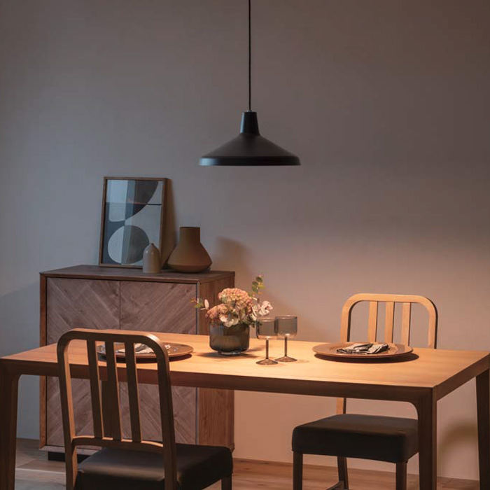 北欧風 ペンダントライト 100W | マットブラック・引掛シーリング式