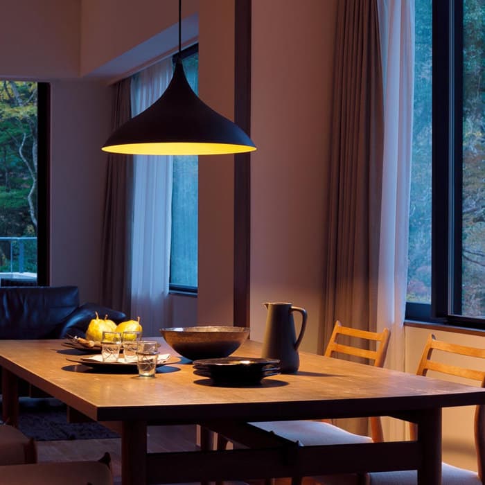 黒鉄色アルミセード ペンダントライト 100W形・ダクトレール専用｜照明