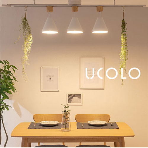 シーリングライト 1灯 スチールシェード 照明 ライト おしゃれ UCOLO