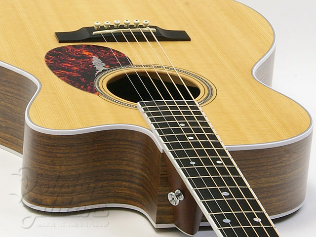 C.F.Martin OMC-16 OGTE|ドルフィンギターズ