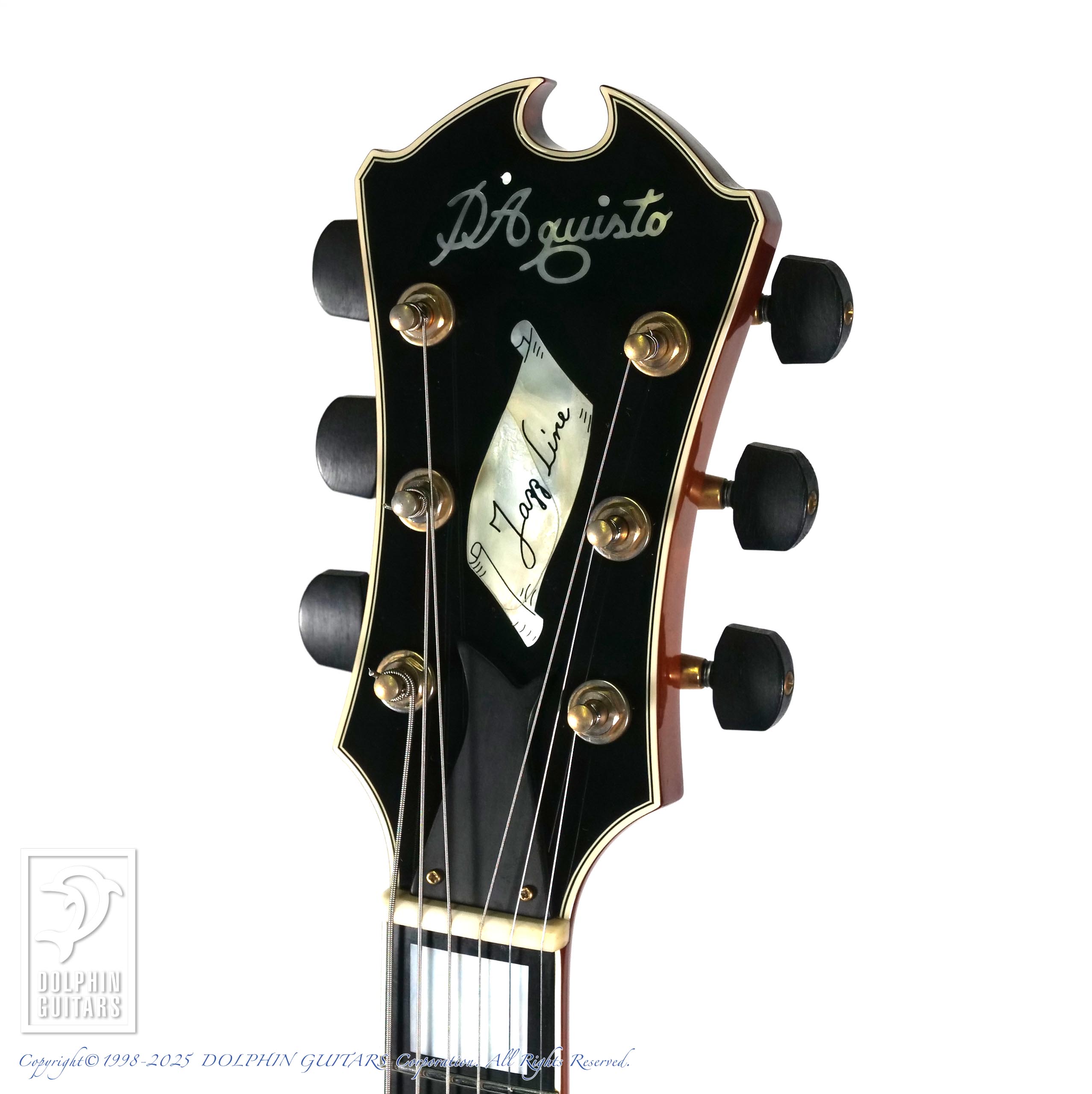 D'AQUISTO DQ-JZ Jazz Line (Violin Burst)|ドルフィンギターズ