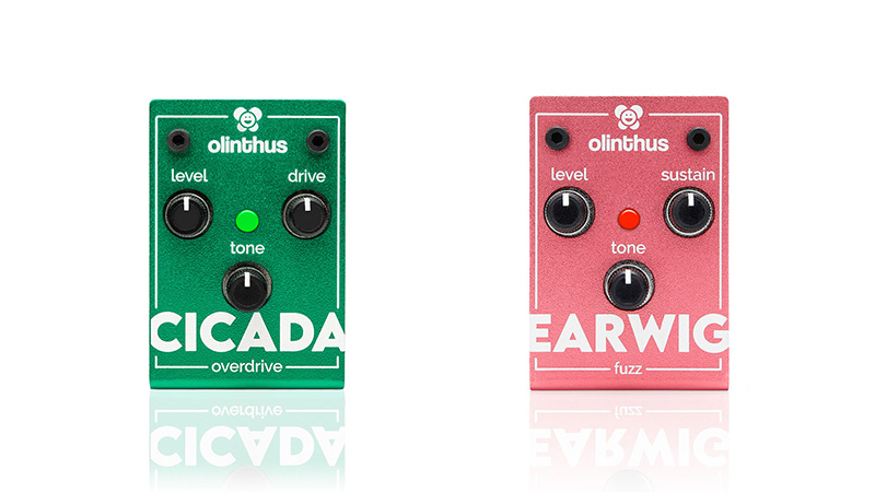 olinthus／CICADA、EARWIG】9V電池ほどの筐体に幅広いサウンドを